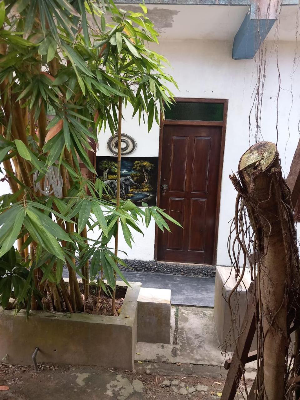 Suninn Hostel And Surf School Weligama Ngoại thất bức ảnh