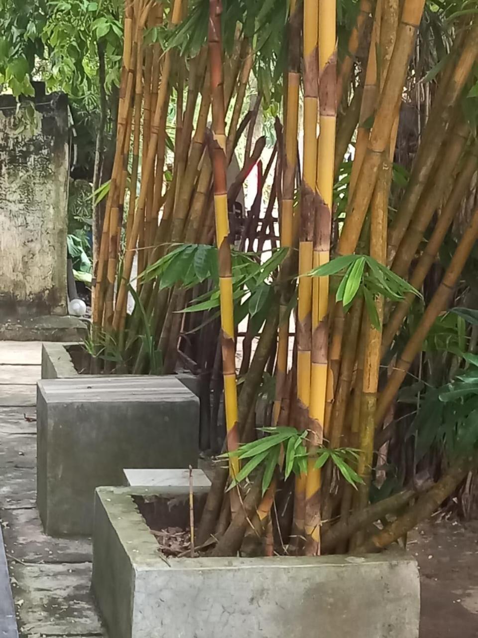 Suninn Hostel And Surf School Weligama Ngoại thất bức ảnh
