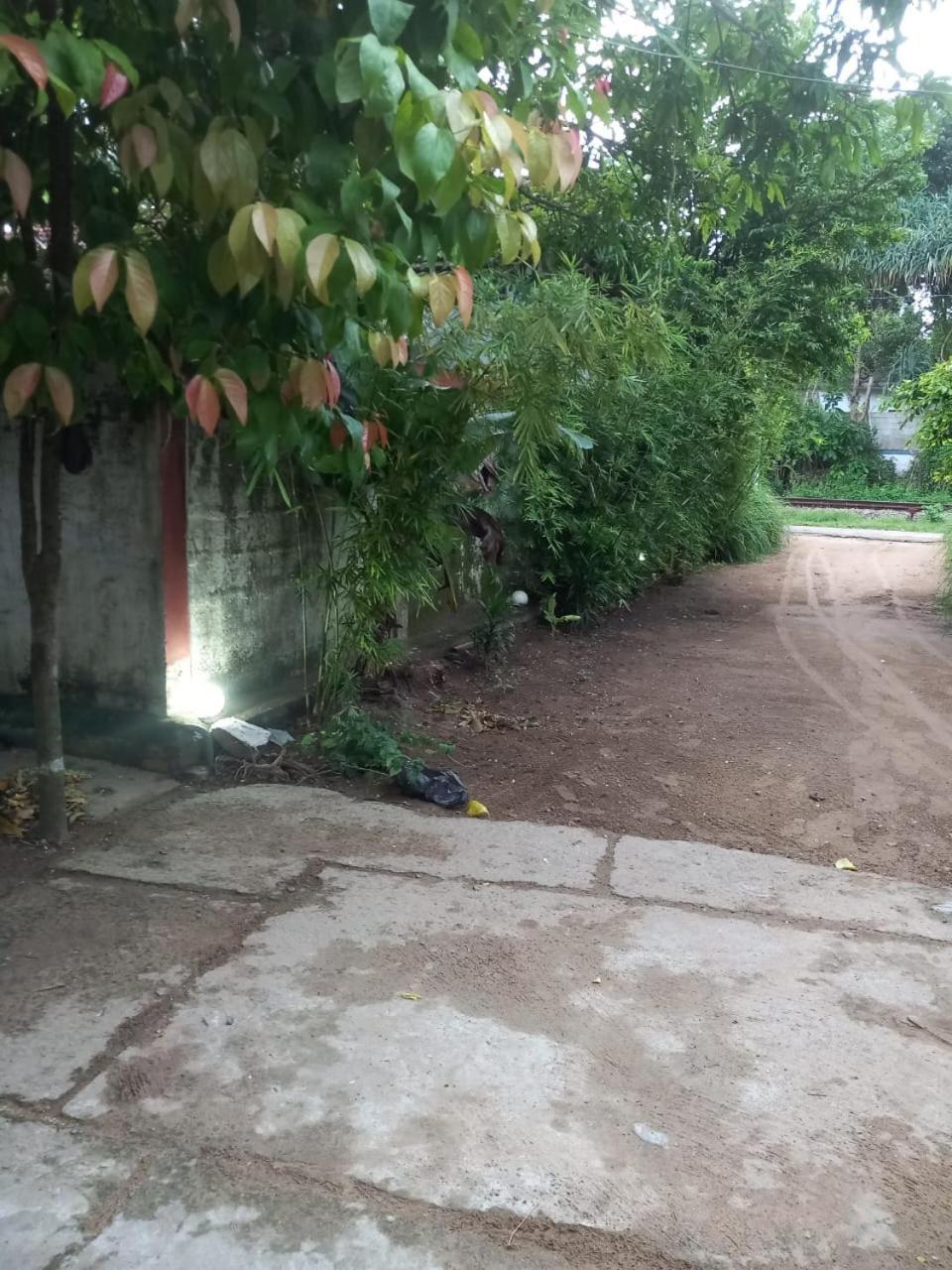 Suninn Hostel And Surf School Weligama Ngoại thất bức ảnh