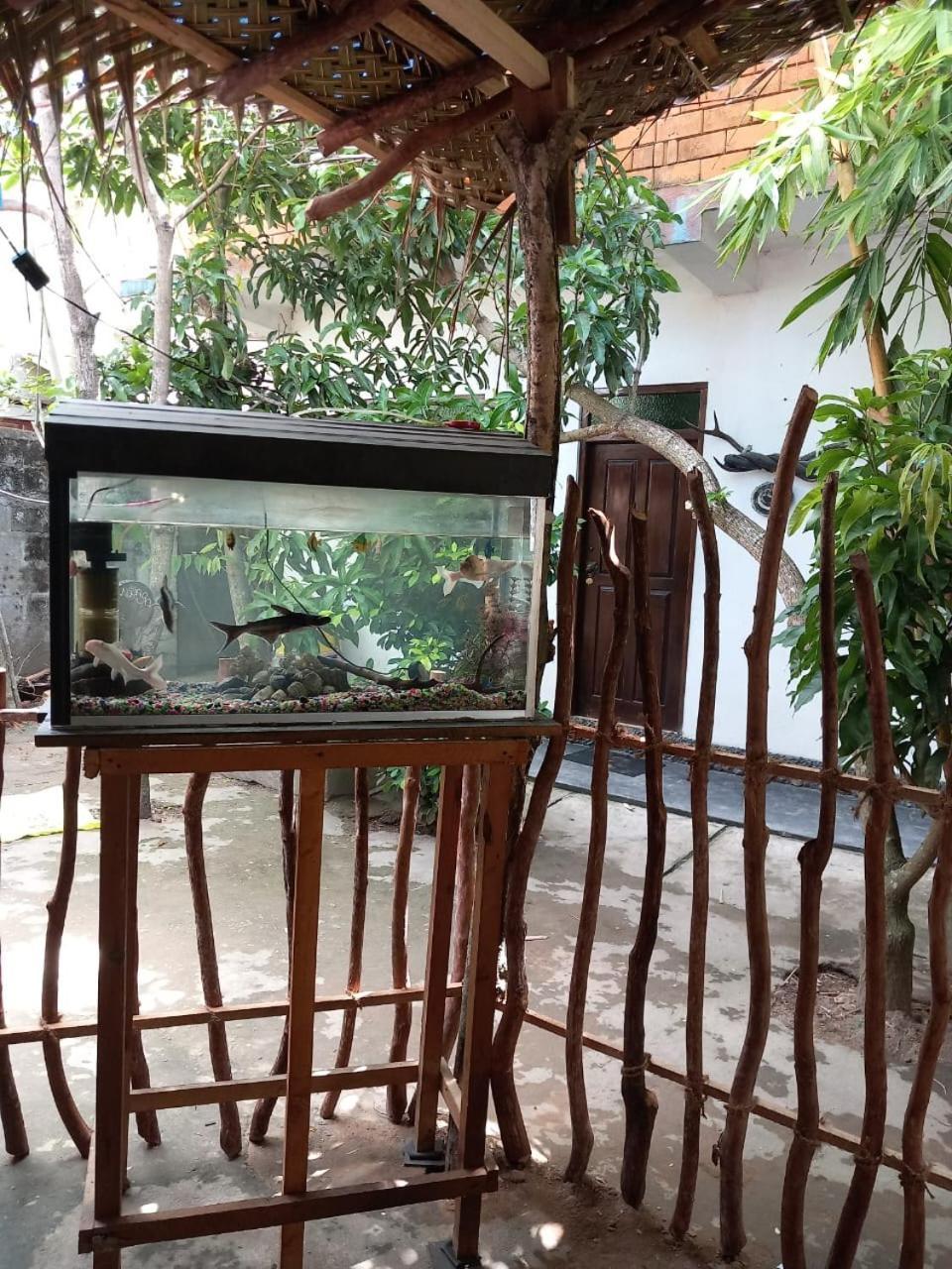 Suninn Hostel And Surf School Weligama Ngoại thất bức ảnh